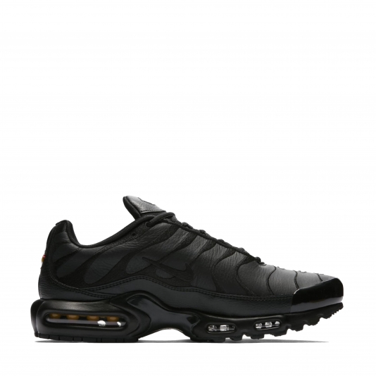 Air Max Plus Triple Black