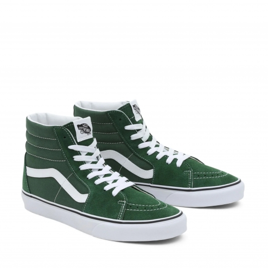Sk8-HI Theory Greener Past