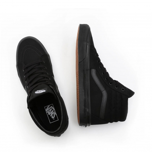Sk8-HI Mono Black