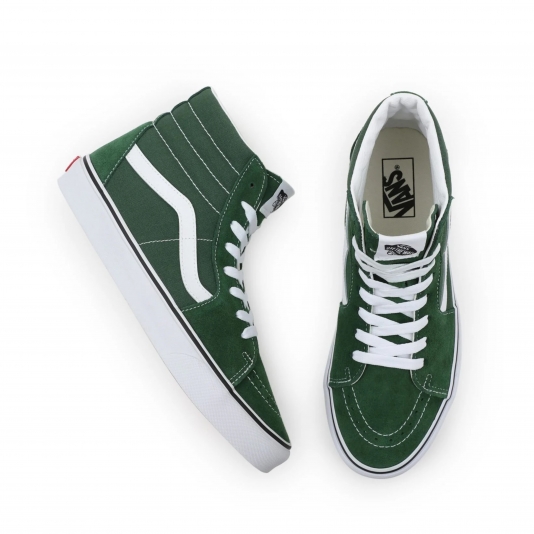 Sk8-HI Theory Greener Past