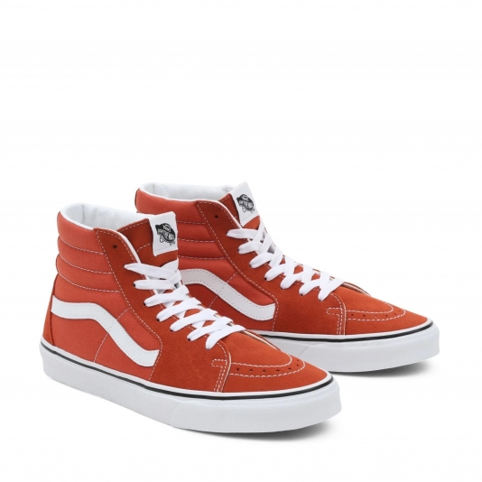 Sk8-HI Color Theory Burnt Ochre