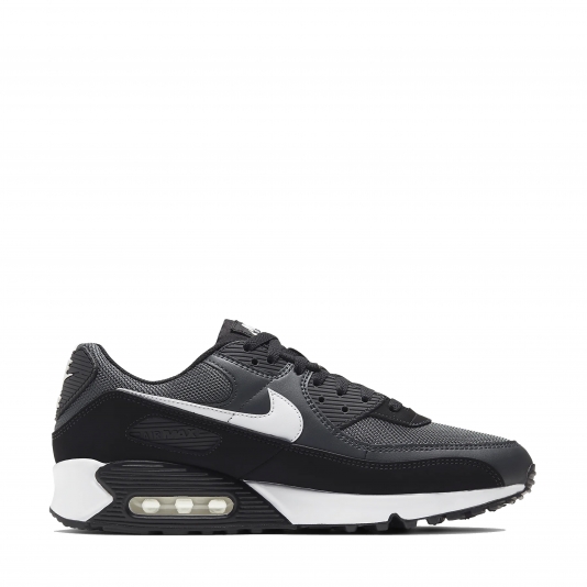 Air Max 90 Iron Grey/Dark Smoke Grey/Black/White