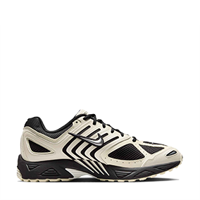 Air Pegasus 2005 Pale Ivory/Metallic Silver/Coconut Milk