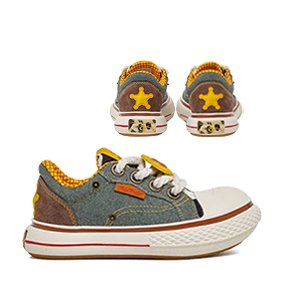 Canvas X Disney/Pixar Collection Woody Cowboy