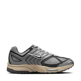 Air Pegasus 2005 Smoke Grey/Light Pumice