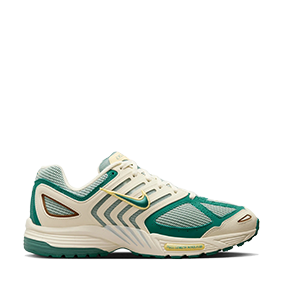 Air Pegasus 2005 Coconut Milk/Bicoastal/Light Silver