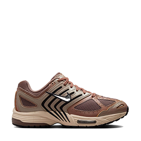 Air Pegasus 2005 Mink Brown/Chrome/Ironstone/Sanddrift