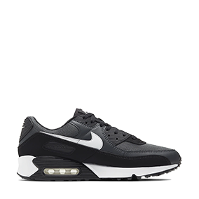 Air Max 90 Iron Grey/Dark Smoke Grey/Black/White