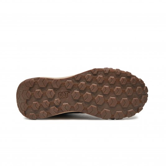 Hex Ready Mid Coffee Bean