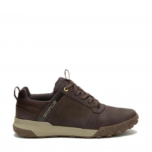 Hex Ready Low Coffee Bean