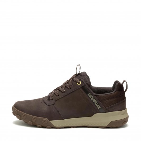Hex Ready Low Coffee Bean