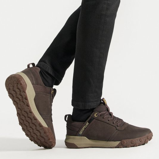 Hex Ready Low Coffee Bean