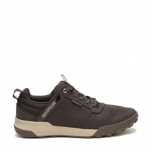 Hex Ready Low WP Coffee Bean