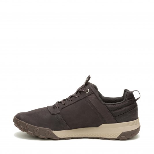 Hex Ready Low WP Coffee Bean