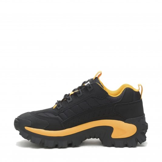 Intruder Black/Yellow Cat