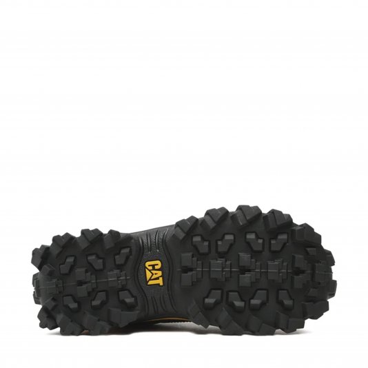 Intruder Black/Yellow Cat