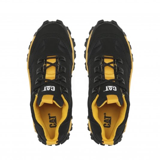 Intruder Black/Yellow Cat