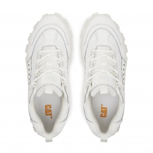 Intruder White
