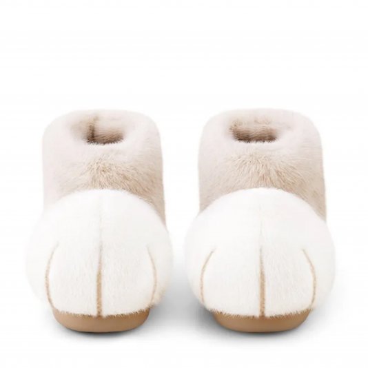 Snowball Cat Small Rice