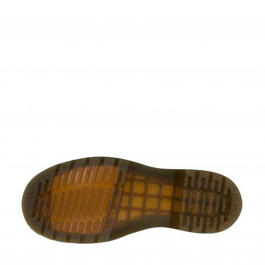 2976 Clove Classico