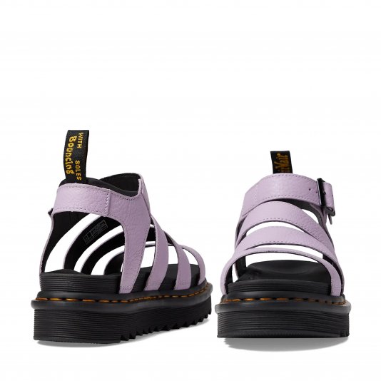 Blaire Lilac Pisa