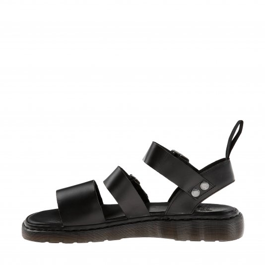 Gryphon Black Brando