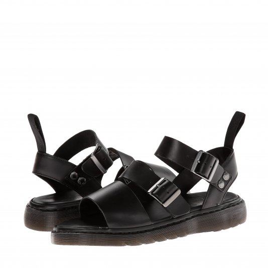 Gryphon Black Brando