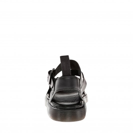 Gryphon Black Brando