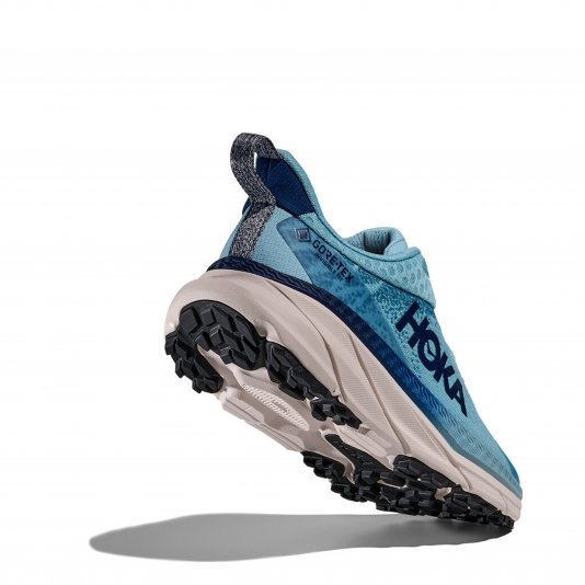 Challenger ATR 7 GTX Raindrop/Grout