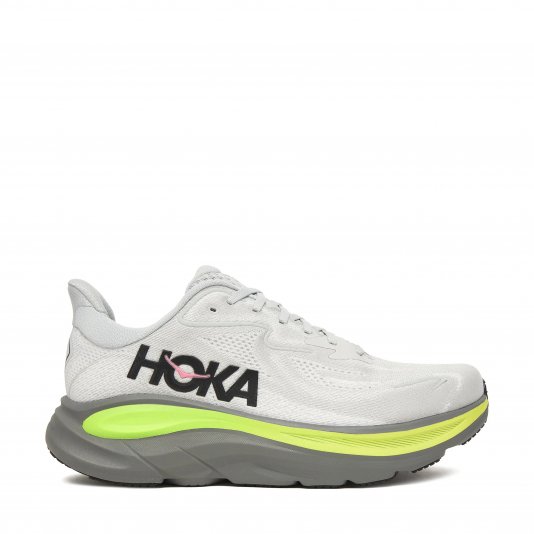 Clifton 10 Stardust/Asteroid