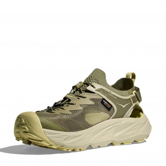 Hopara 2 Wild Mushroom/Oyster Mushroom