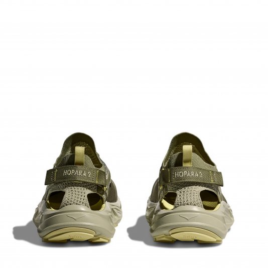 Hopara 2 Wild Mushroom/Oyster Mushroom