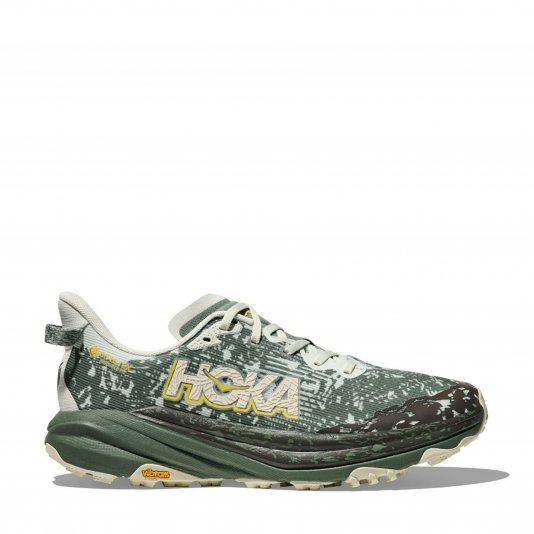 Speedgoat 6 GTX Sea Glass/Fern