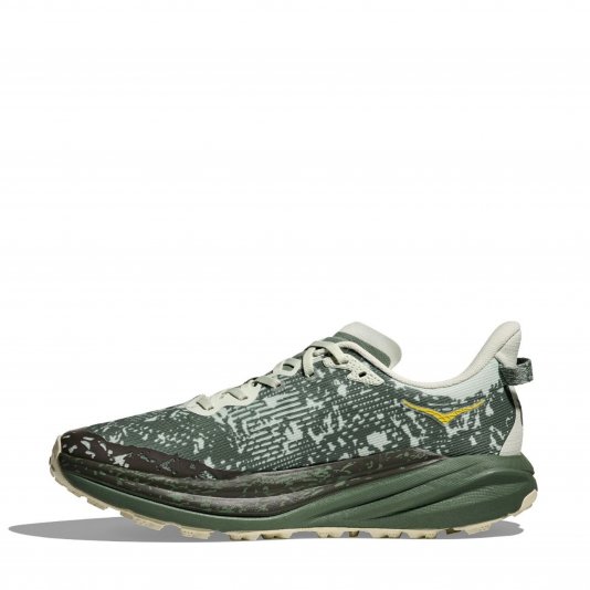 Speedgoat 6 GTX Sea Glass/Fern