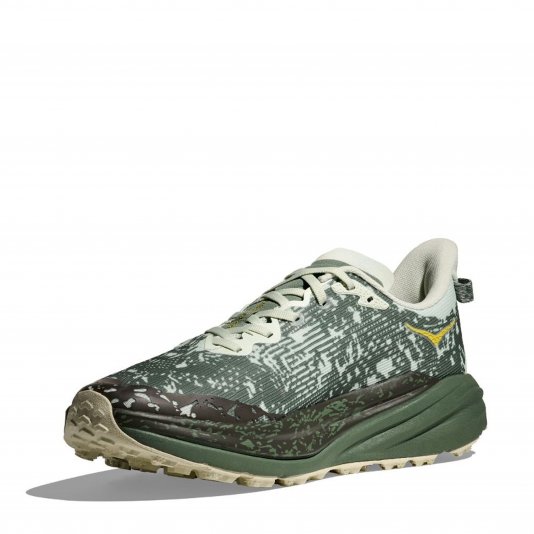 Speedgoat 6 GTX Sea Glass/Fern