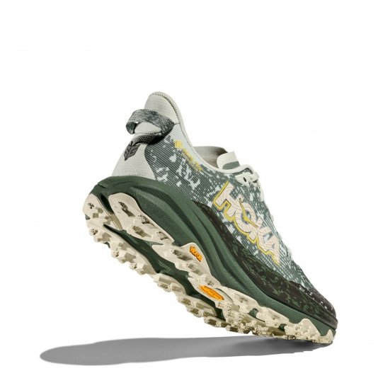 Speedgoat 6 GTX Sea Glass/Fern