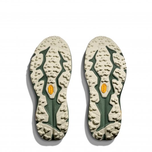 Speedgoat 6 GTX Sea Glass/Fern