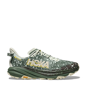 Speedgoat 6 GTX Sea Glass/Fern