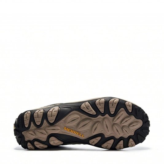 Accentor 3 GTX Earth Brown/Charcoal
