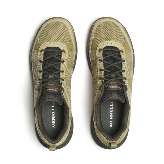 Tempo EXP Sand/Deep Forest