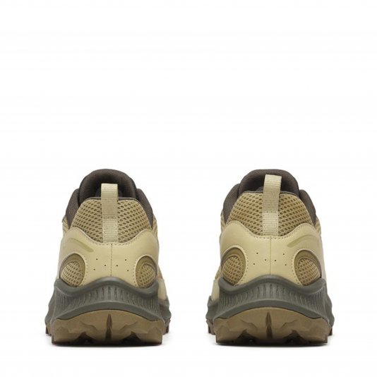 Tempo EXP Sand/Deep Forest