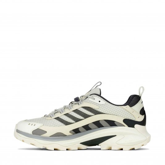 Moab Speed 2 GORE-TEX Chalk/Light Grey/Cream