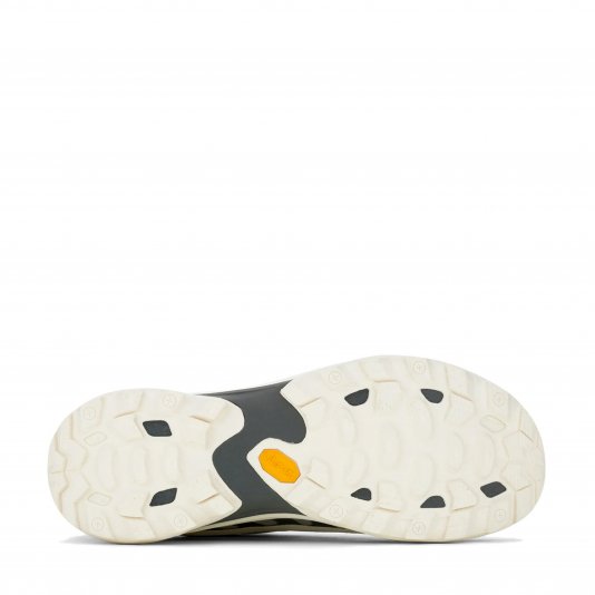 Moab Speed 2 GORE-TEX Chalk/Light Grey/Cream