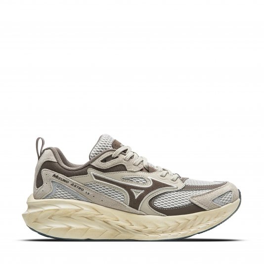 Astro LS Silver Birch/Chestnut Brown/Gray