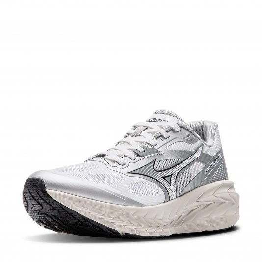 Astro X While/Silver Grey