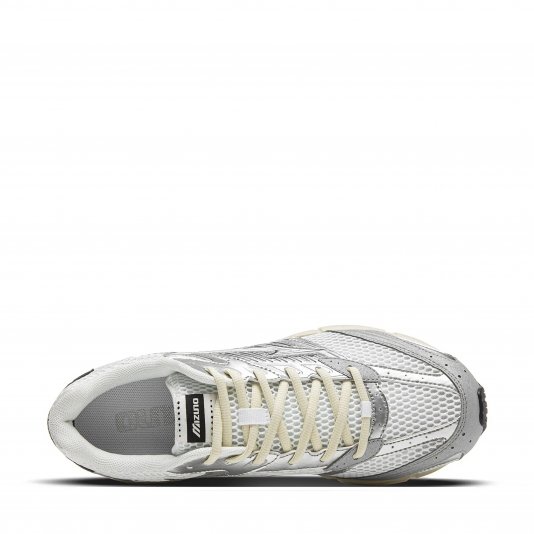 Speed 2010 White/Silver Gray