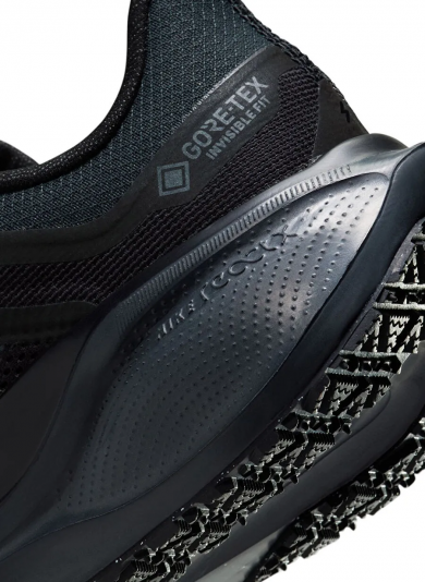 Air Zoom Pegasus 41 GORE-TEX Black/Anthracite/Black