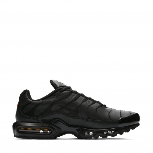 Air Max Plus Triple Black