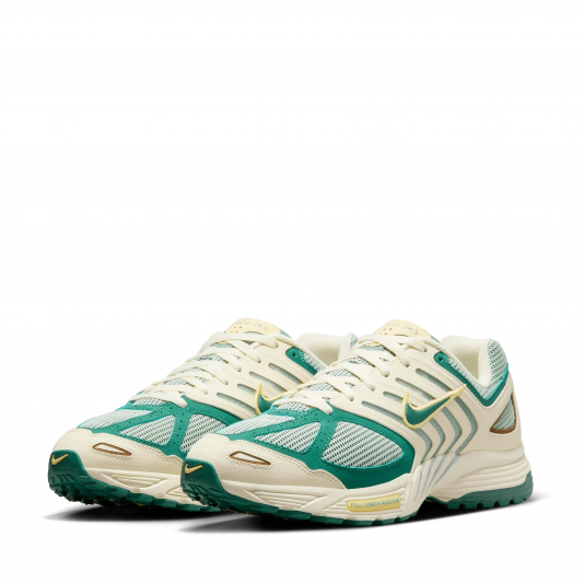 Air Pegasus 2005 Coconut Milk/Bicoastal/Light Silver