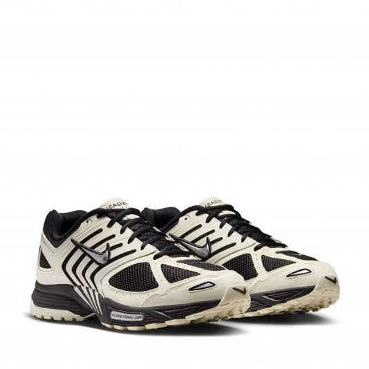Air Pegasus 2005 Pale Ivory/Metallic Silver/Coconut Milk